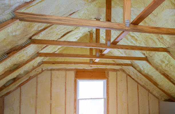 Best Geographic-Specific Insulation Services in Red Cloud, NE