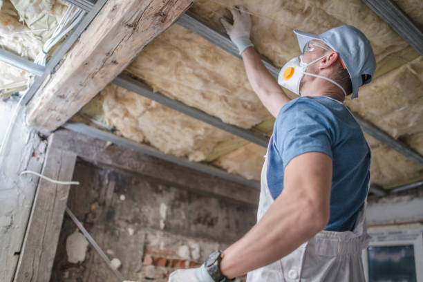 Best Insulation Maintenance and Repair in Red Cloud, NE