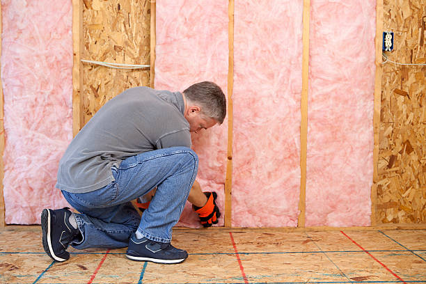 Best Cellulose Insulation in Red Cloud, NE